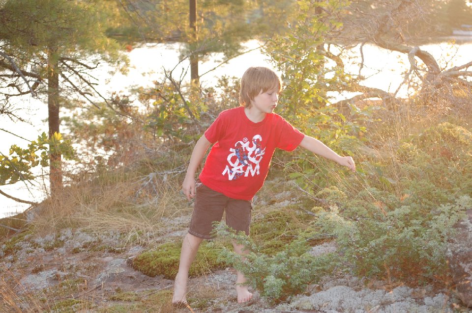 SUMMER (137)